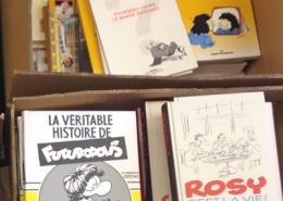 Cartons de livres sur la bande dessinée