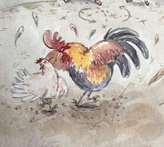 Sol Diaz - Gallo