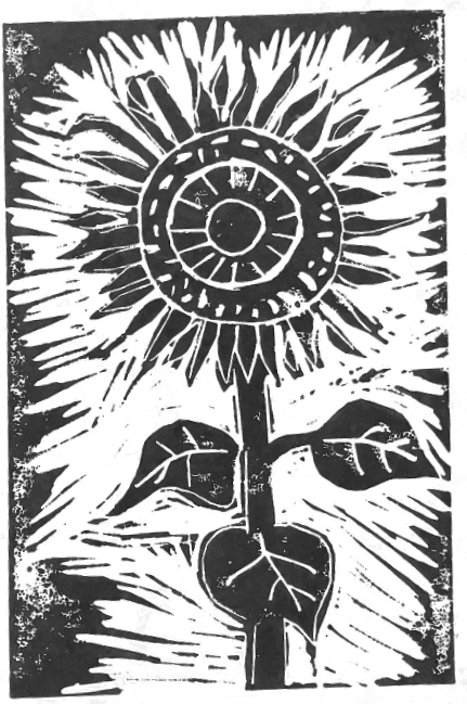 Tournesol de Loraine Capelier