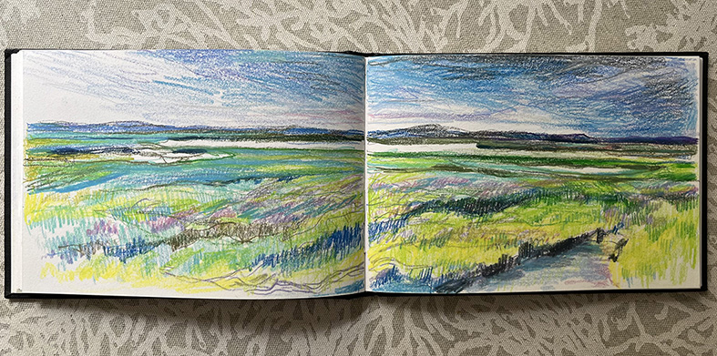 Agnès Decourchelle - extrait de carnet